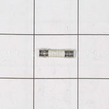 W10487251 Whirlpool Fuse