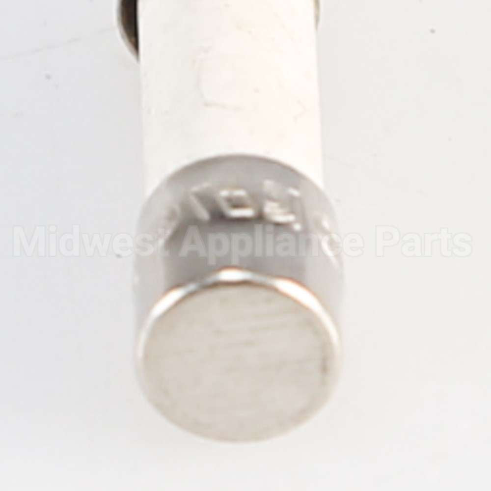 W10487251 Whirlpool Fuse