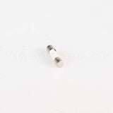 W10487251 Whirlpool Fuse