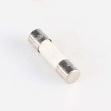 W10487251 Whirlpool Fuse