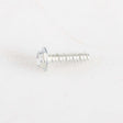 W10589828 Whirlpool Screw