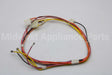 W10744211 Whirlpool Harns-Wire
