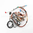 W10745674 Whirlpool Harns-Wire