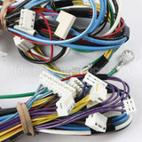 W10752242 Whirlpool Harns-Wire