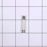 W10856869 Whirlpool Fuse