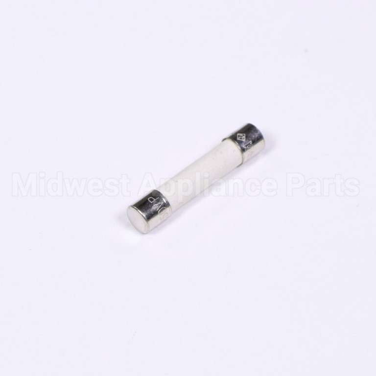 W10856869 Whirlpool Fuse