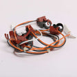 W10868536 Whirlpool Harns-Wire