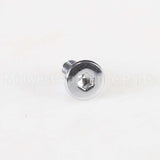 W10920281 Whirlpool Screw