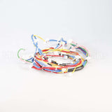 W11033849 Whirlpool Harns-Wire