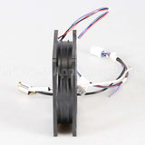 W11087438 Whirlpool Harns-Wire