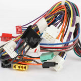 W11172419 Whirlpool Harns-Wire