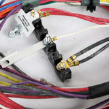 W11176667 Whirlpool Harns-Wire