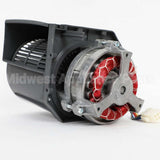 W11213353 Whirlpool Motor-Fan
