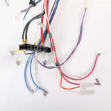 W11262877 Whirlpool Harns-Wire