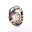 W11318751 Whirlpool Harns-Wire