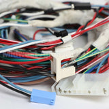 W11556661 Whirlpool Harns-Wire