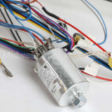 W11594182 Whirlpool Harns-Wire