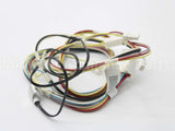 W11661567 Whirlpool Harns-Wire