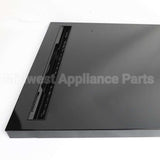 W11672177 Whirlpool Panel