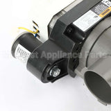 W11680073 Whirlpool Base-Pump