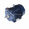 W561A Marathon Motor