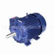 W600A-P Marathon Motor