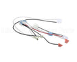 W6760 Nemco Wire Set For 6760-240