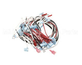 W8075-SSA Nemco Wireset, 75 Capacity W/Readout