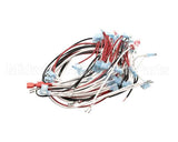 W8075-SSA Nemco Wireset, 75 Capacity W/Readout