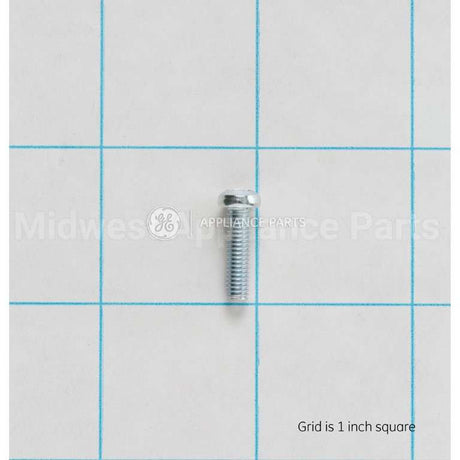 WB01K10046 GE Scr M4X.07 Trp S