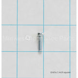 WB01K10046 GE Scr M4X.07 Trp S