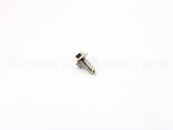 WB01M10002 GE Screw