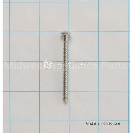 WB01T10067 GE Scr 10-16 Pl Pnt 2.5 S