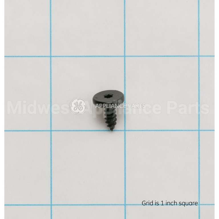 WB01T10110 GE Scr 8-18X.450 Ab Flt20 S