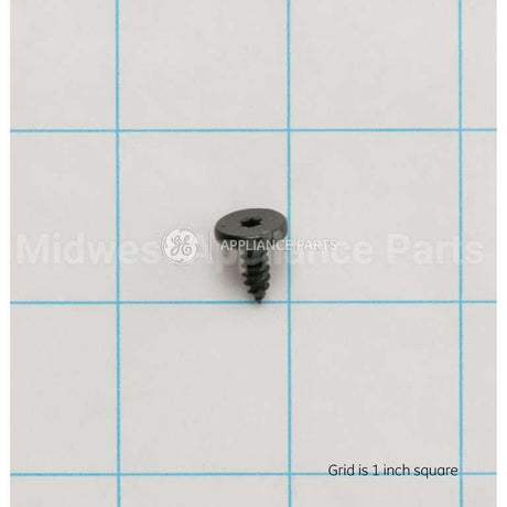 WB01T10110 GE Scr 8-18X.450 Ab Flt20 S