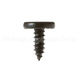 WB01T10110 GE Scr 8-18X.450 Ab Flt20 S