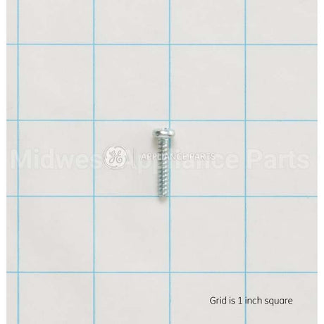 WB01X10434 GE Screwst4*20Tbhc