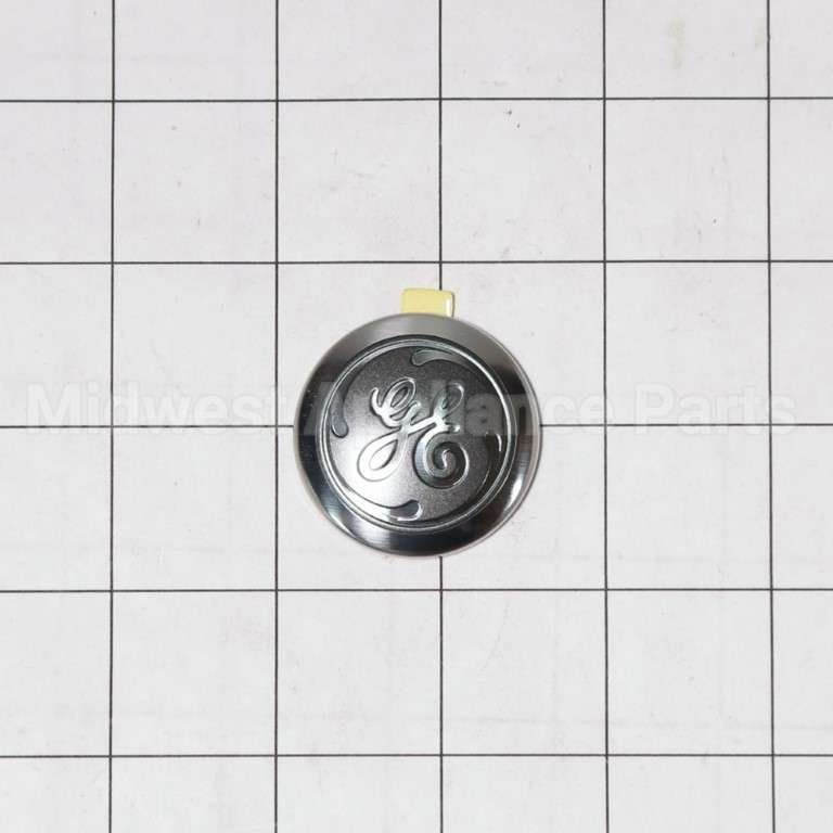 WB02T10589 GE Badge Ge