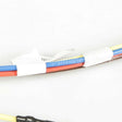 WB18T10218 GE Cooktop Burner Wire Harness