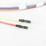 WB18T10218 GE Cooktop Burner Wire Harness
