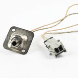 WB18X23585 GE Meat Probe And Harness