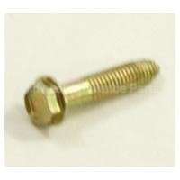 WB1K5072 GE Screw