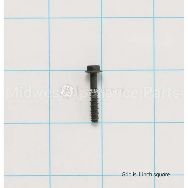 WB1K5156 GE Screw
