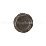 WB1K5156 GE Screw