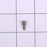 WB1K5200 GE Screw