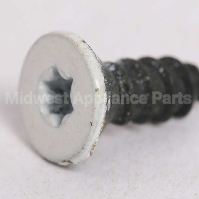 WB1K66 GE Screw (Wh)