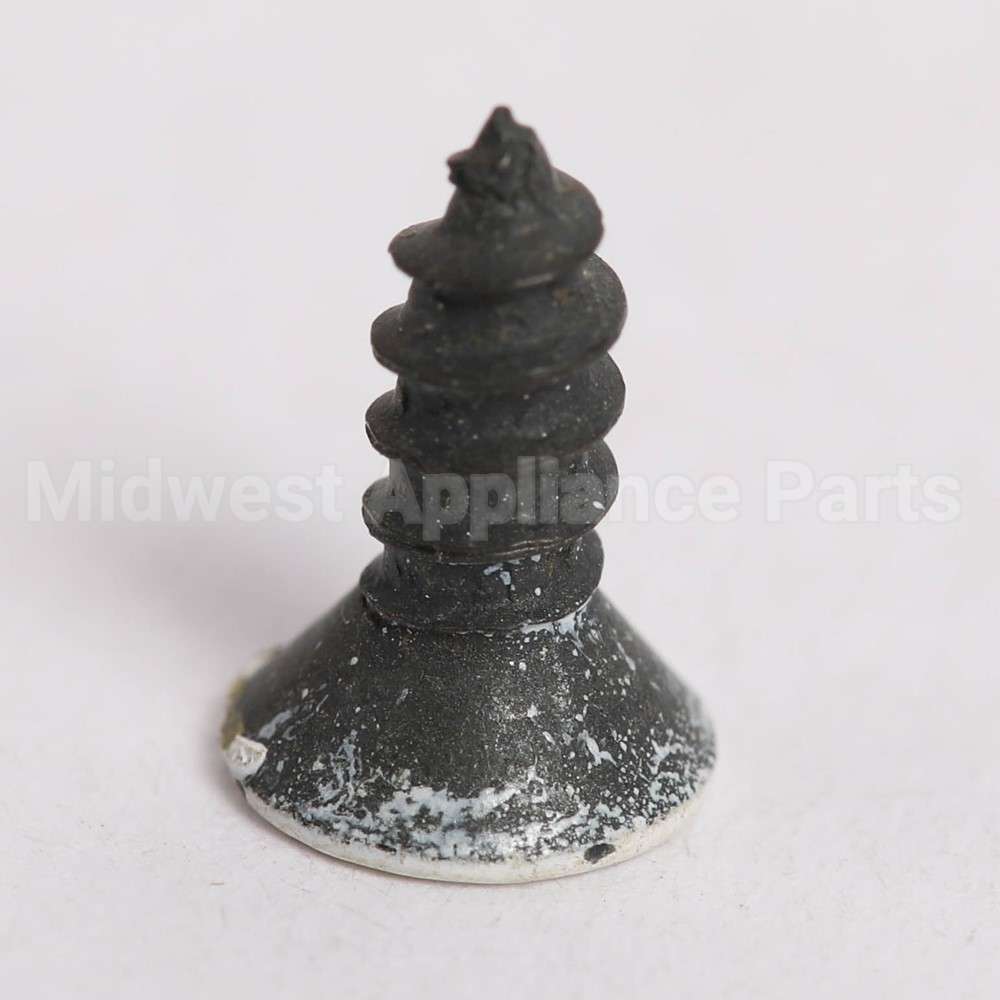 WB1K66 GE Screw (Wh)