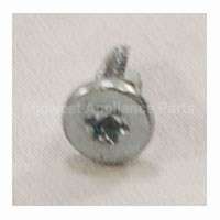 WB1K84 GE Screw