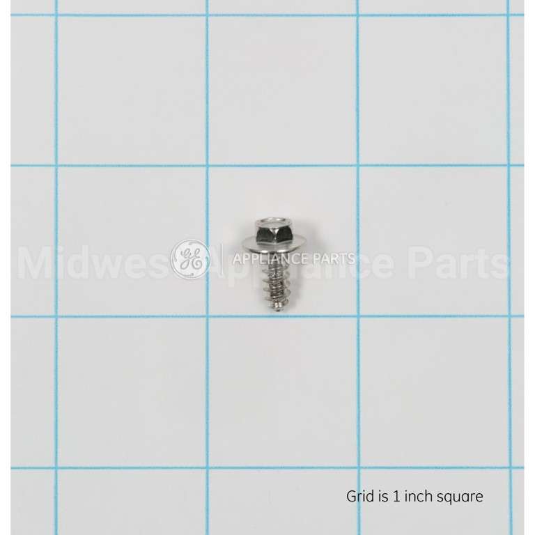 WB1M1 GE Screw