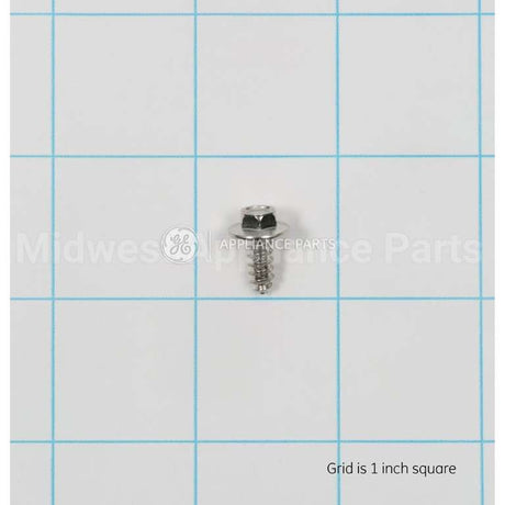 WB1M1 GE Screw